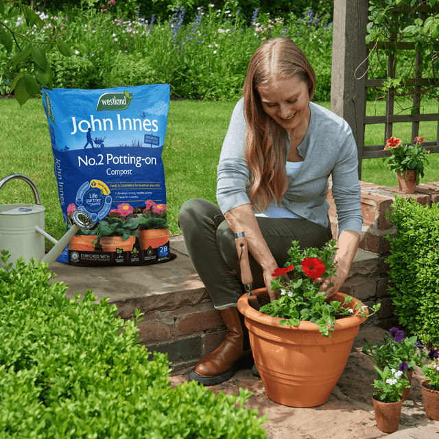 John Innes Peat Free No.2 Potting - On Compost 28ltr - Dandy's Topsoil & Landscape Supplies
