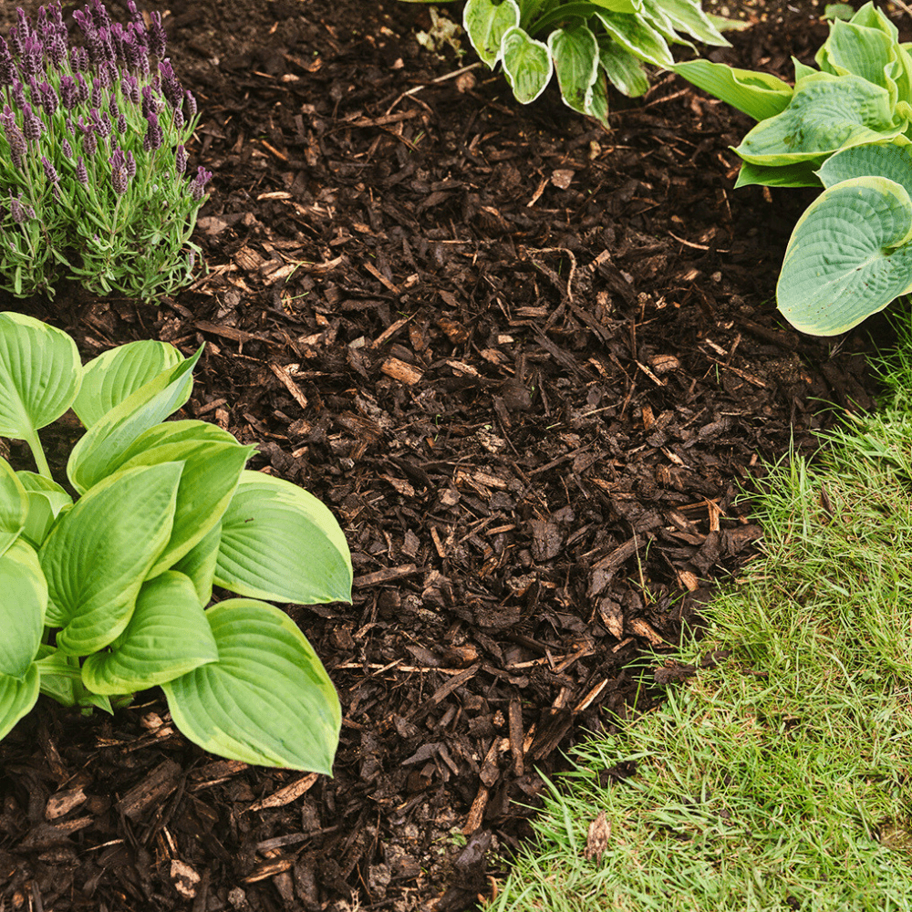 Decorative Mini Bark 70ltr Handy Bags - Dandys Landscape Supplies