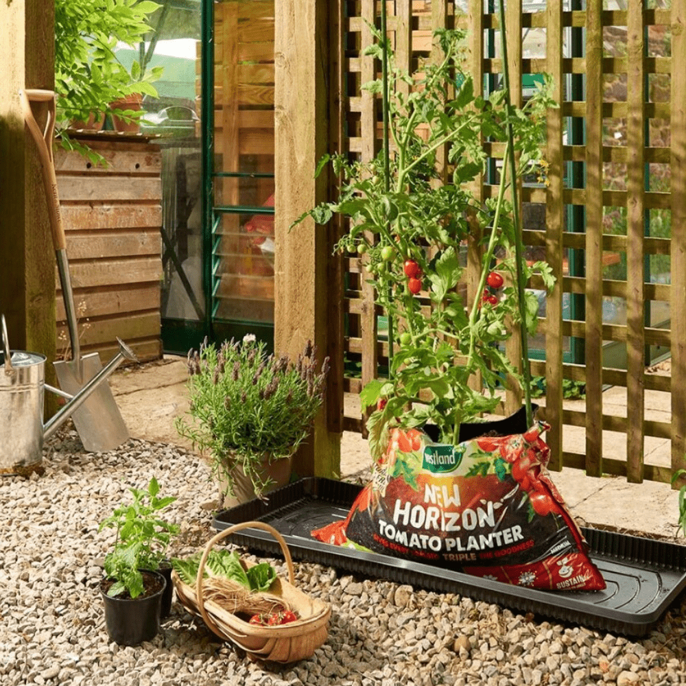 Click and Collect New Horizon Tomato Planter - Dandy's Topsoil & Landscape Supplies