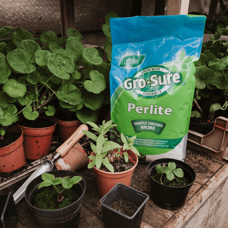 Extra: Perlite (10ltr) - Dandy's Topsoil & Landscape Supplies