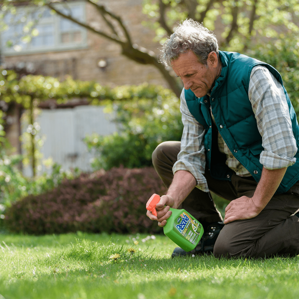 Add - on Resolva Lawn Weedkiller Extra 1ltr - Dandy's Topsoil & Landscape Supplies