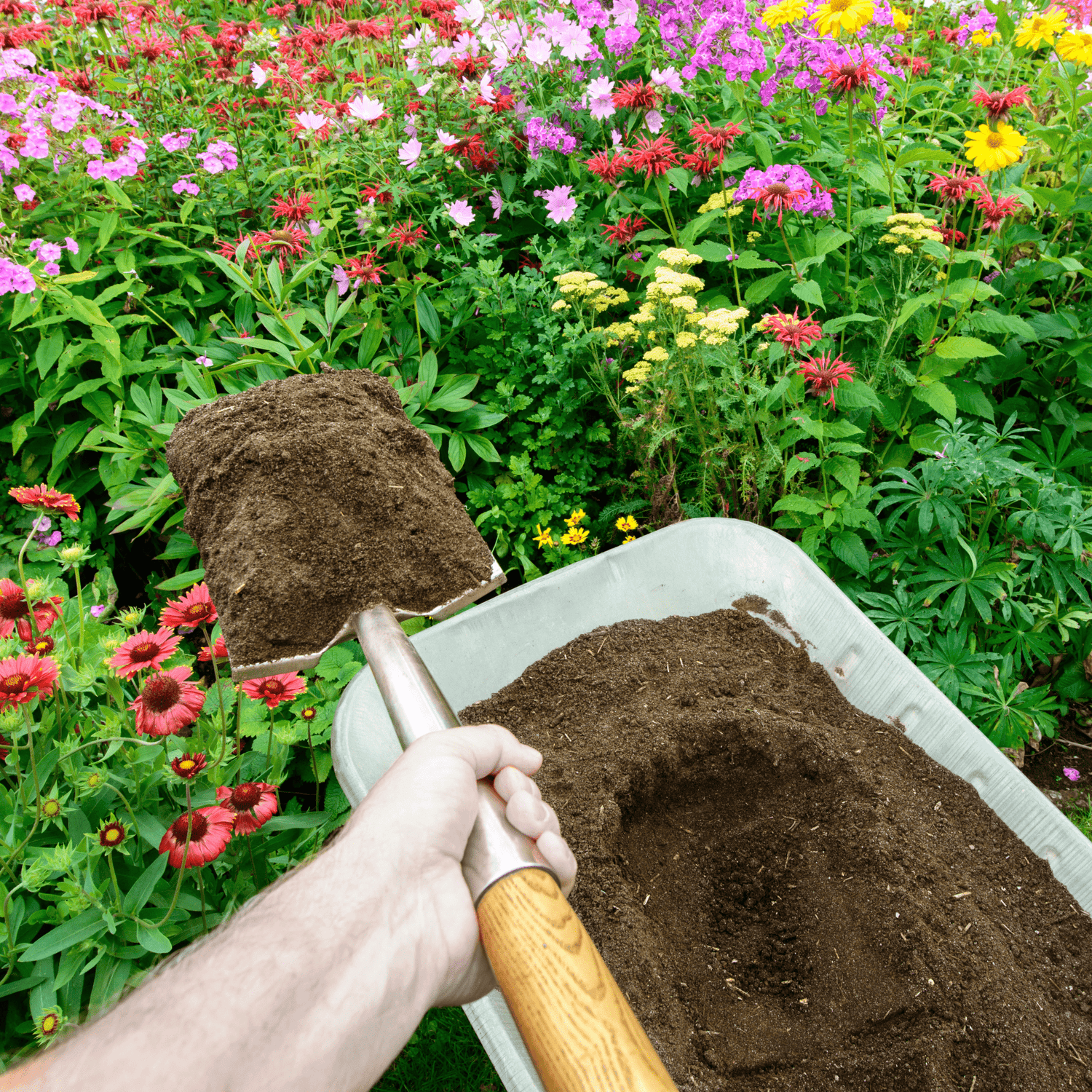 Dandy's Organic Bordermix® Topsoil for plants and flowers.