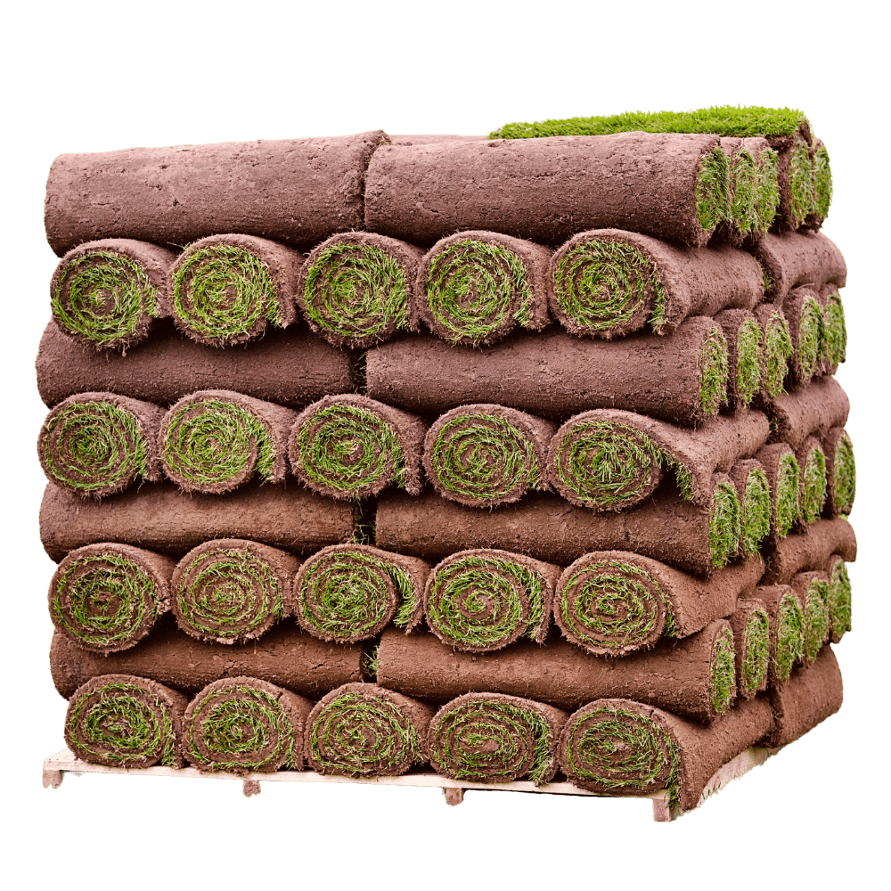 Click and Collect Lawn Turf m2 rolls - Special Offer (Collection only). - Dandy's Topsoil & Landscape Supplies
