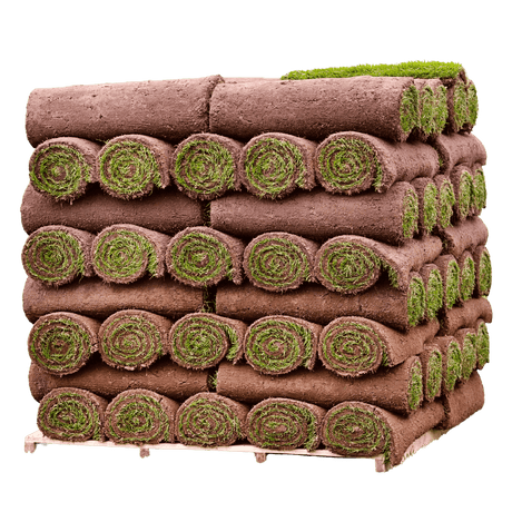 Garden Lawn Turf by Dandy's Top Soil and Turf