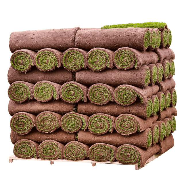 Garden Lawn Turf by Dandy's Top Soil and Turf