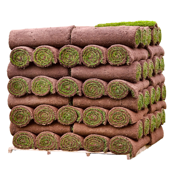 Garden Lawn Turf by Dandy's Top Soil and Turf