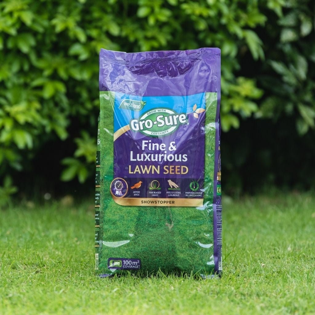 Add - on Fine & Luxurious Professional Lawn Seed 9kg - Dandy's Topsoil & Landscape Supplies