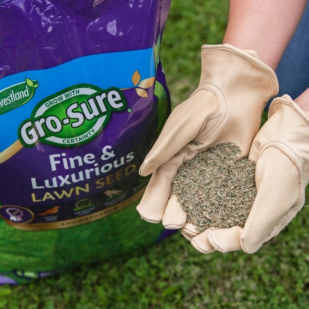 Add - on Fine & Luxurious Professional Lawn Seed 9kg - Dandy's Topsoil & Landscape Supplies