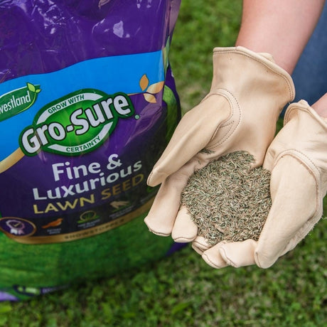 Add - on Fine & Luxurious Professional Lawn Seed 9kg - Dandy's Topsoil & Landscape Supplies