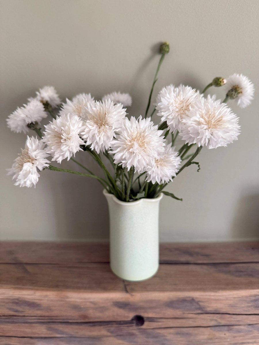 Cornflower Snowman Seeds - Dandys Landscape Supplies
