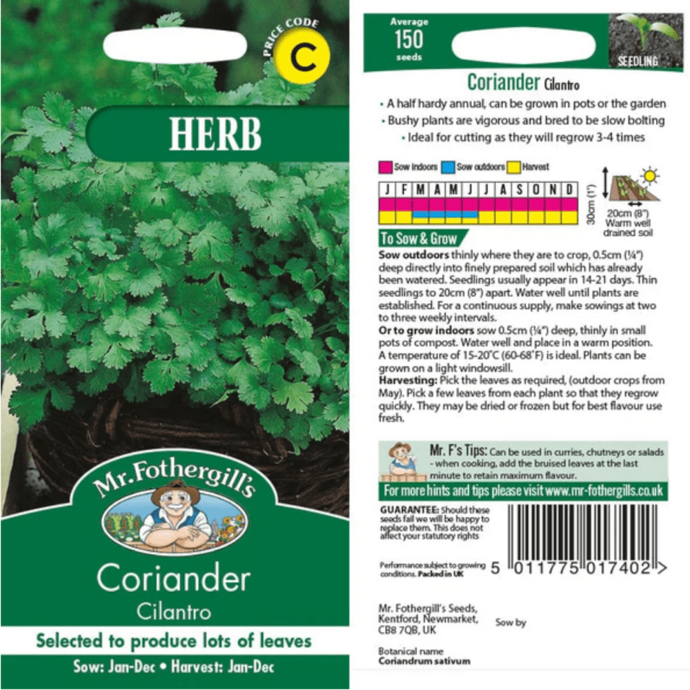 Corriander Cilantro Herb Seeds - Dandys Landscape Supplies
