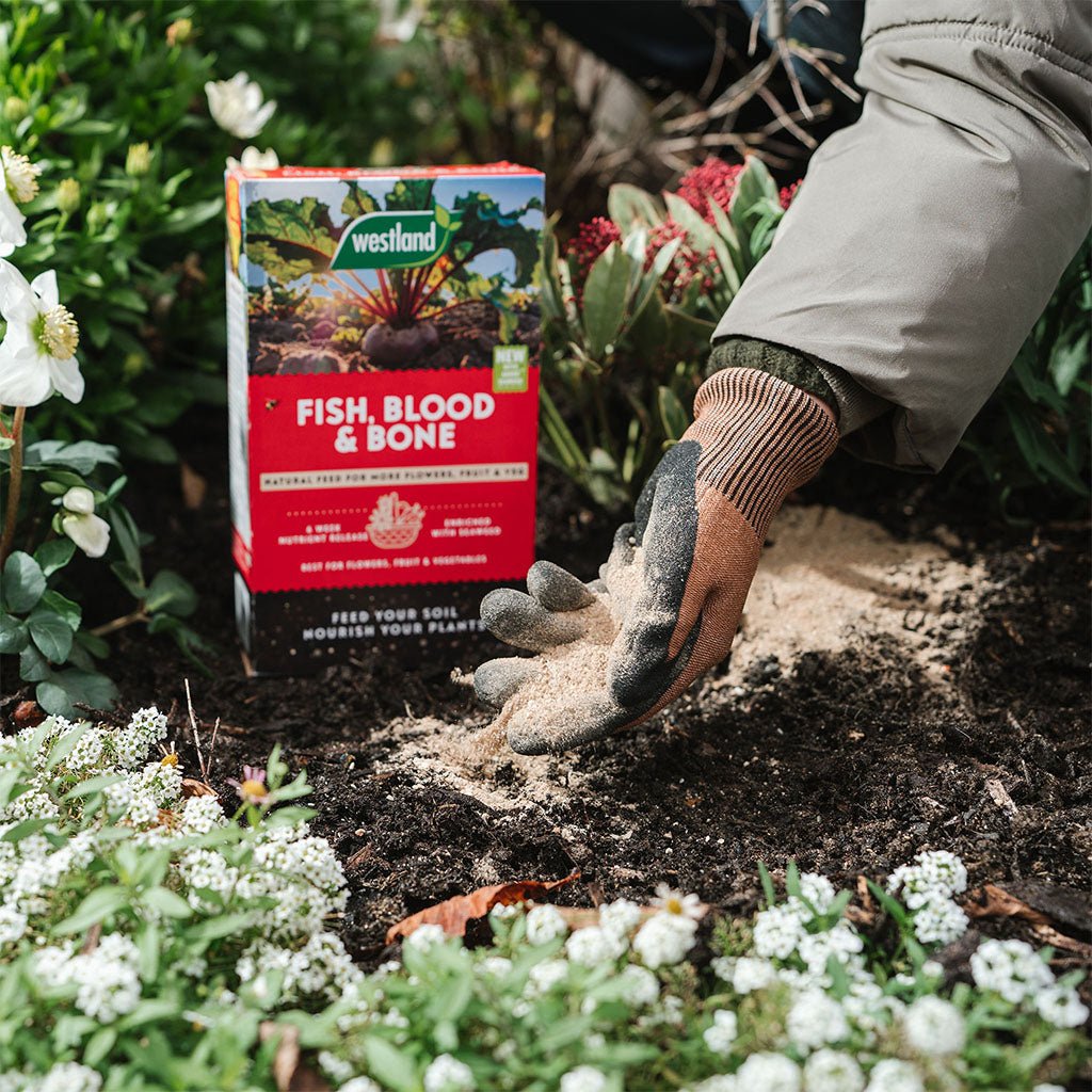 Fish, Blood & Bone 1.5kg - Dandys Landscape Supplies