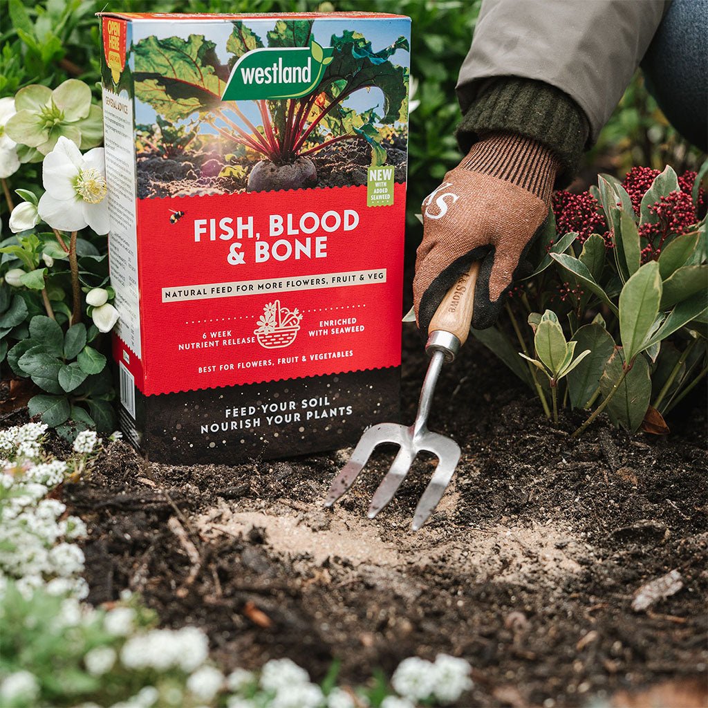 fish bone fertilizer for plants Dandy's Fish, Blood & Bone 4kg – Dandy's Topsoil & Landscape Supplies
