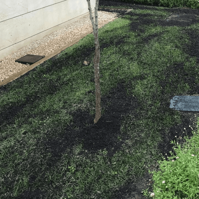 Green Again Lawn Reviver - Dandys Landscape Supplies