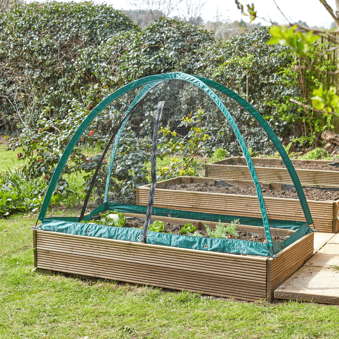 GroCage Crop Protection Tent, 1.2m x 1.2m - Dandys Landscape Supplies