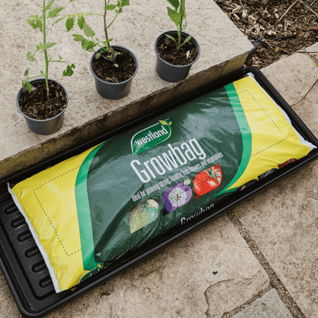 Dandy's Growbags