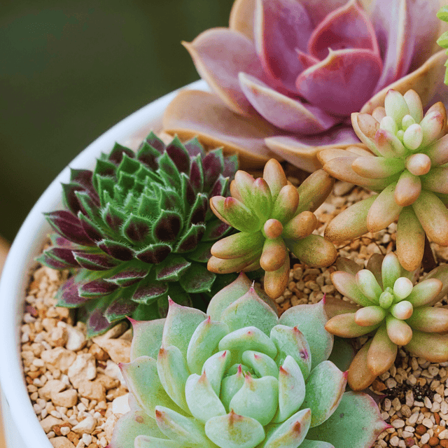 Alpine Grit 2 - 6mm - Dandy's Topsoil & Landscape Supplies