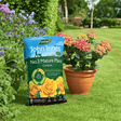 John Innes Peat Free No.3 Mature Plant Compost 28ltr Handy Bag - Dandys Landscape Supplies