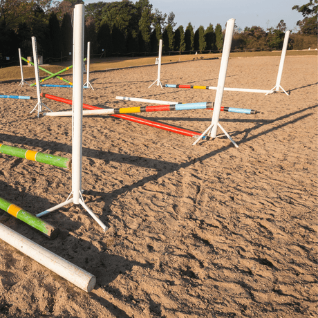 Horticultural Silica Sand - Dandy's Topsoil & Landscape Supplies