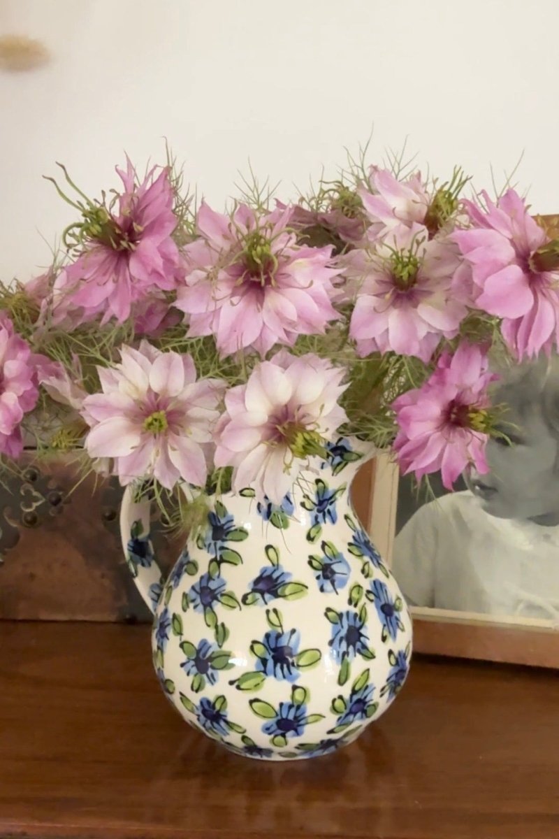 Nigella Mulberry Rose (Love - in - a - mist) - Dandys Landscape Supplies