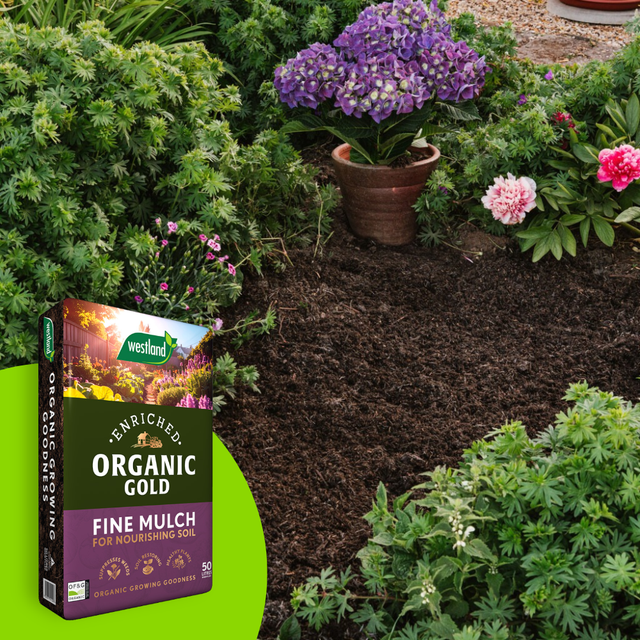 Organic Gold Fine Mulch 50ltr Handy Bag - Dandys Landscape Supplies