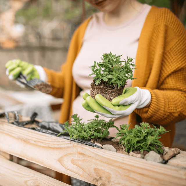 DIY Create Your Own Outdoor Pallet Furniture - Dandys Landscape Supplies