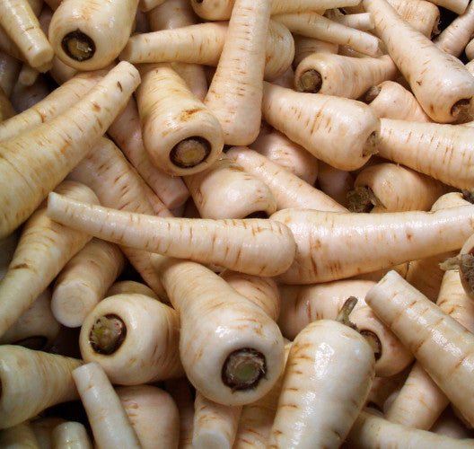 Parsnip Plug Plants "Grow Your Own" Vegetables **Letterbox Friendly** - Dandys Landscape Supplies