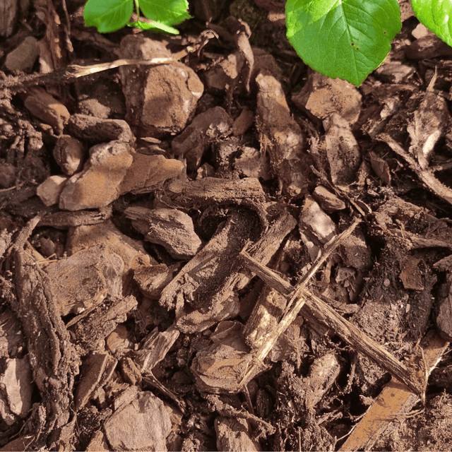 Dandy's Premium Pine Bark 50ltr