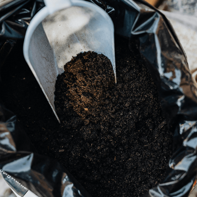 Premium Multi Purpose Compost 0 - 10mm - Dandys Landscape Supplies