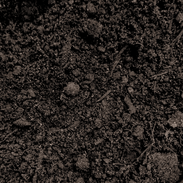 Premium Multi Purpose Compost 0 - 10mm - Dandys Landscape Supplies