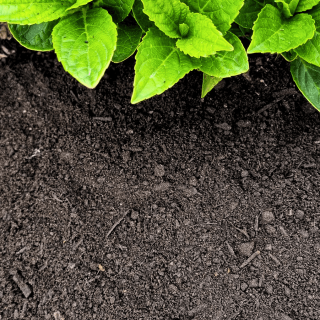 Premium Multi Purpose Compost 0 - 10mm - Dandys Landscape Supplies