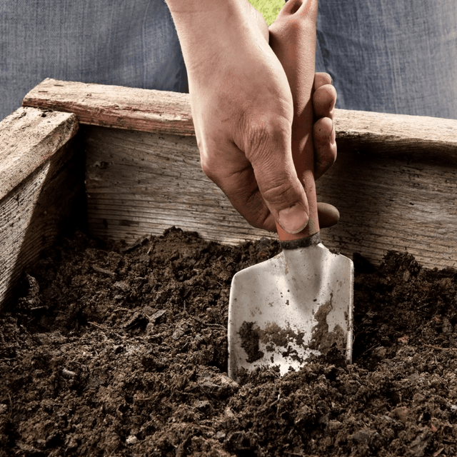 BedGrow® Raised Bed Welsh Topsoil Mix - Dandy's Topsoil & Landscape Supplies