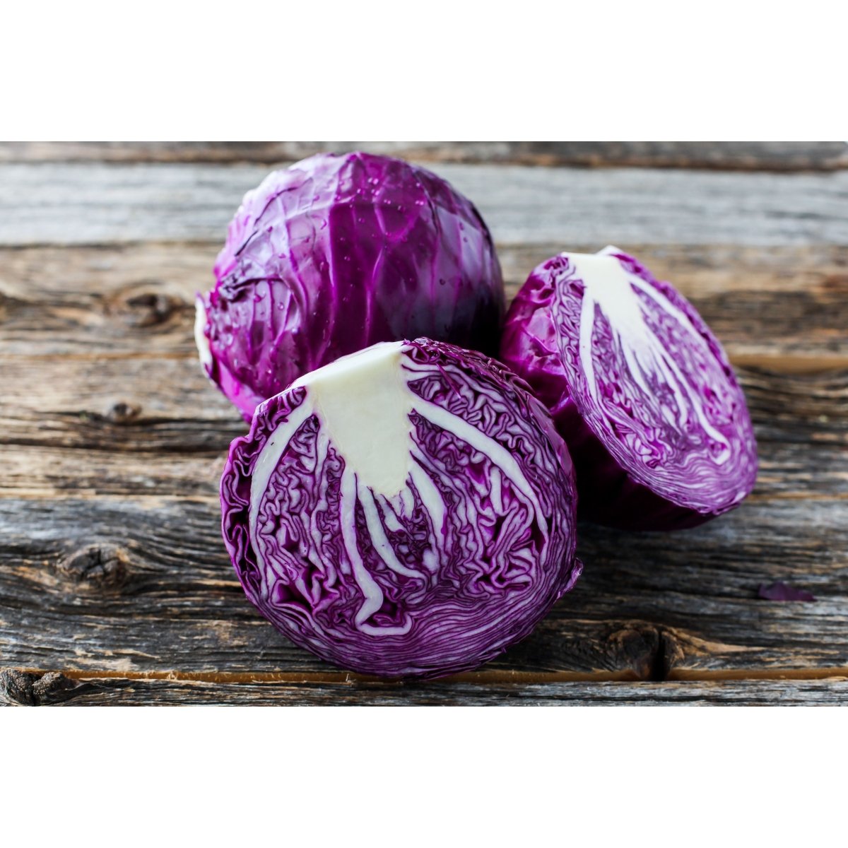 Red Cabbage Plug Plants - "Grow Your Own" Vegetables **Letterbox Friendly** - Dandys Landscape Supplies