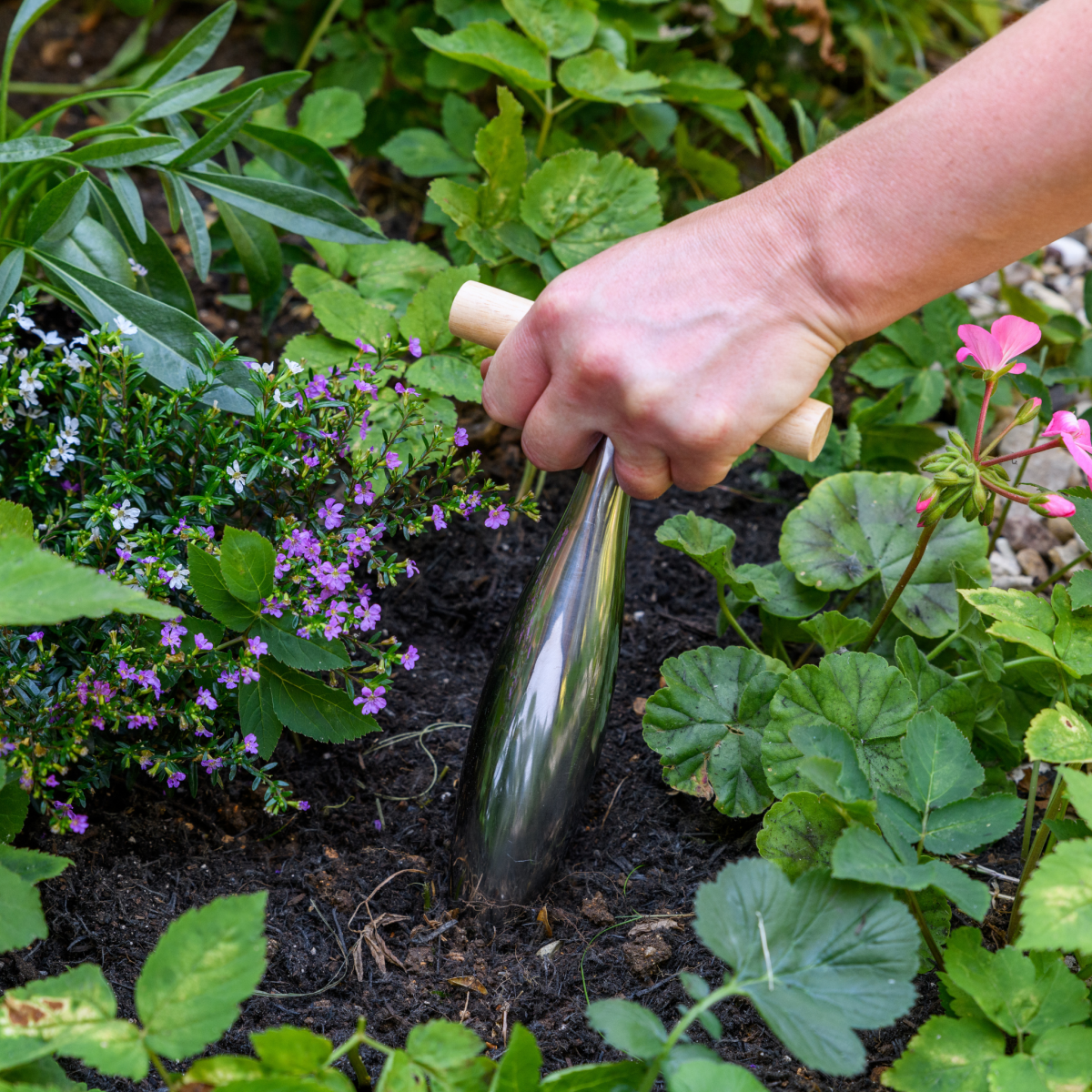 RHS Endorsed Stainless Steel Dibber by Burgon & Ball - Dandys Landscape Supplies