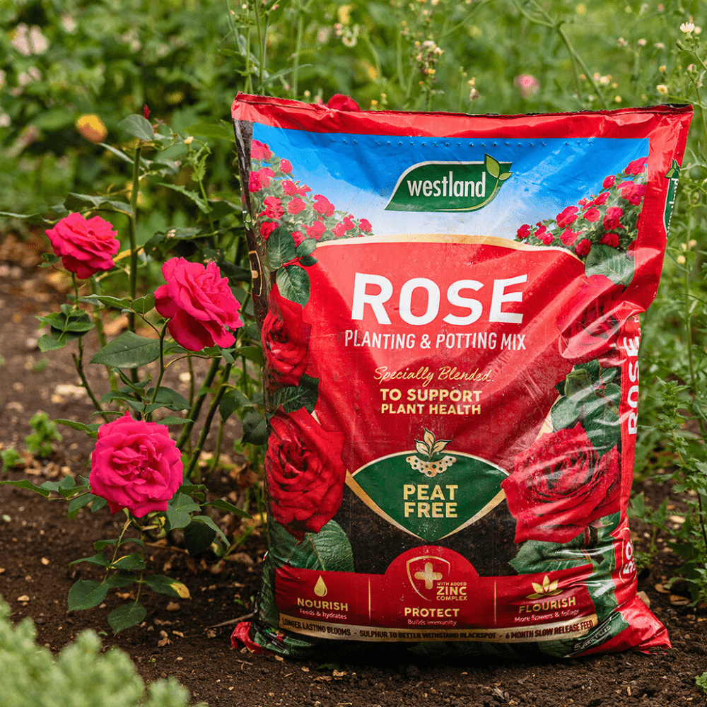 Rose Planting & Potting Mix 50ltr Handy Bag – Dandy's Topsoil