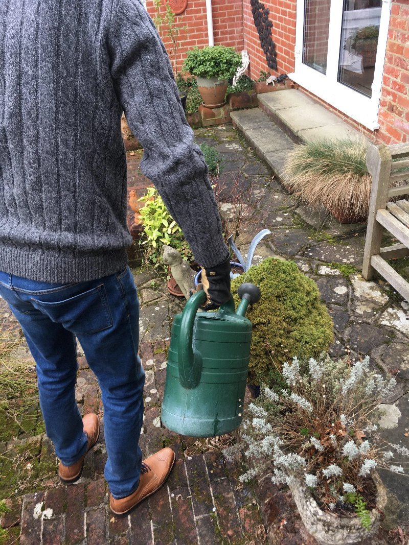 Slug Control Nematodes 100 sqm - Dandys Landscape Supplies