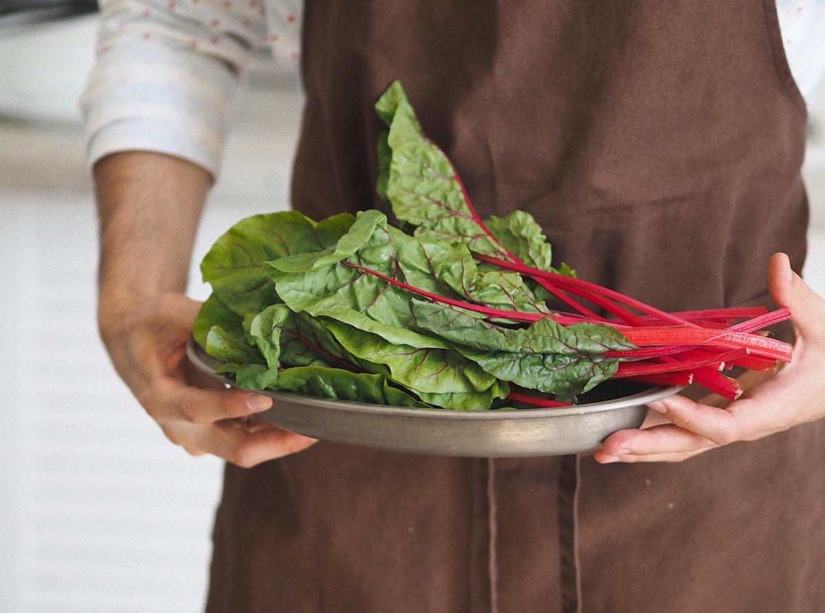 Swiss Chard Red Plug Plants "Grow Your Own" Vegetables **Letterbox Friendly** - Dandys Landscape Supplies