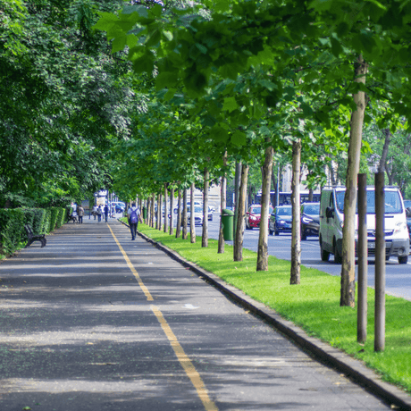 Urban Tree Planting Soil - Dandy's Topsoil & Landscape Supplies