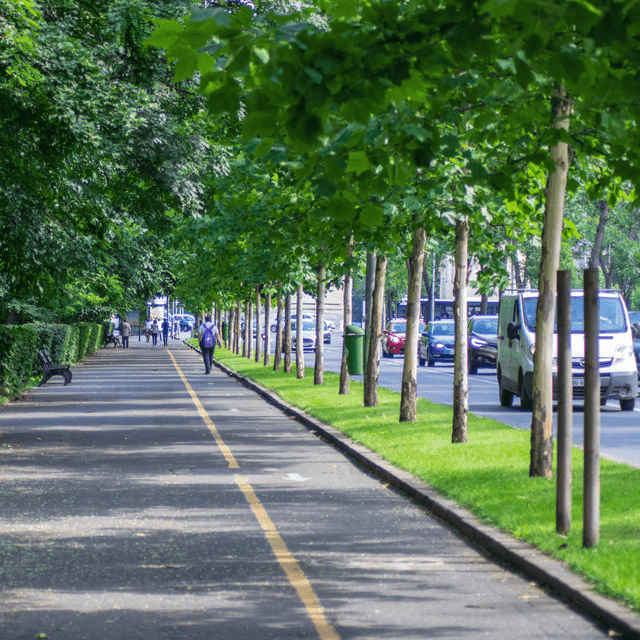 Urban Tree Planting Soil - Dandy's Topsoil & Landscape Supplies