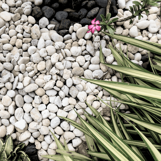 WhiteMarblePebbles20-40mm