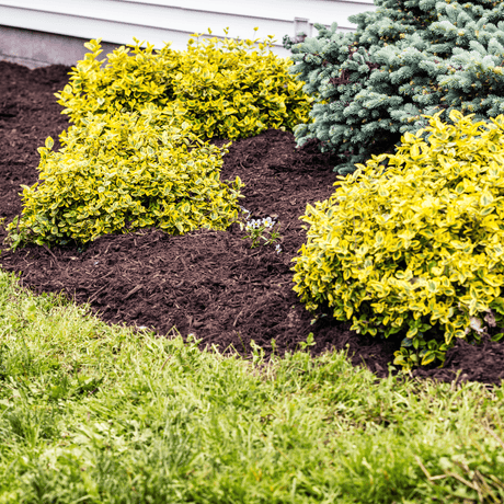Wintermix Compost - Dandy's Topsoil & Landscape Supplies