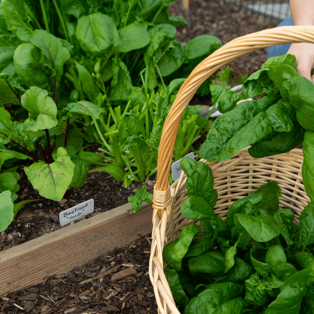 Wintermix Compost - Dandy's Topsoil & Landscape Supplies