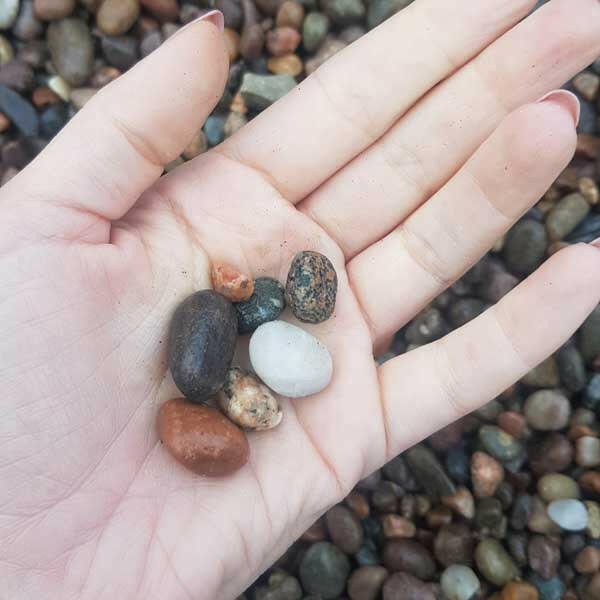 Scottish Mini Pebbles 8 - 14mm Bulk Bag - Dandy's Topsoil & Landscape Supplies