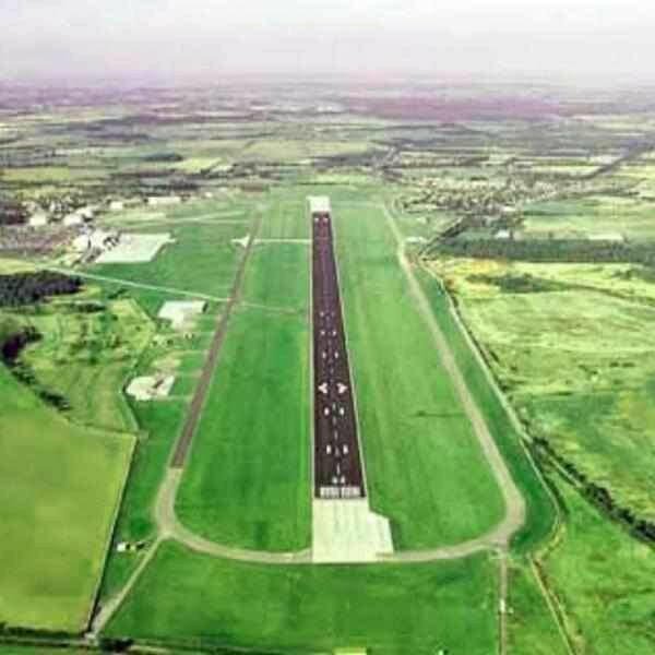 Birdstrike Airport Grass Seed | Dandys