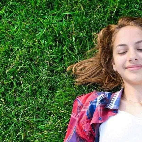 Click & Collect Lawn Turf m2 rolls - SPECIAL OFFER, COLLECTION ONLY!! | Dandys