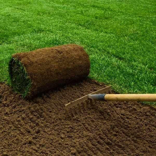 Click & Collect Lawn Turf m2 rolls - SPECIAL OFFER, COLLECTION ONLY!! | Dandys