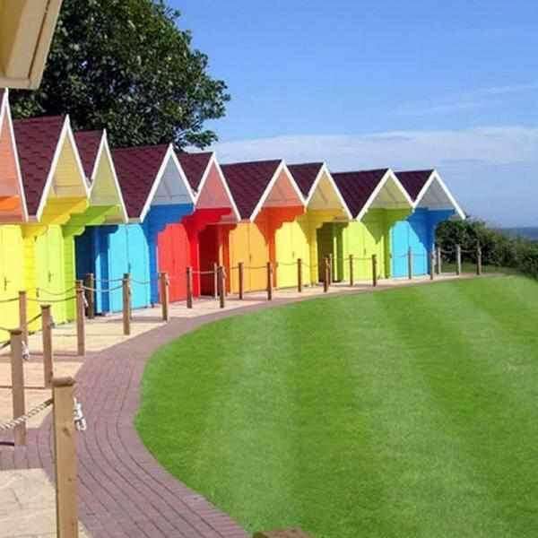 Coastal Grass Seed | Dandys