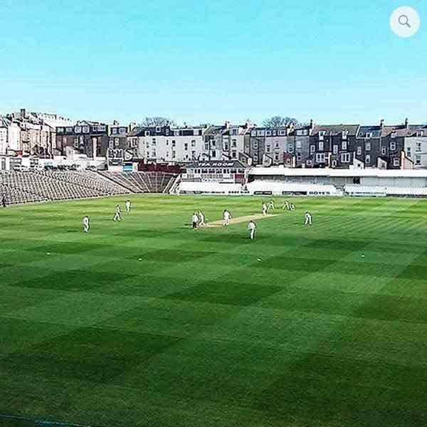 Cricket Outfields Grass Seed | Dandys