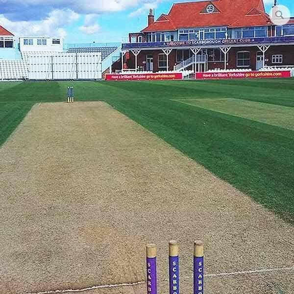 Cricket Squares Grass Seed | Dandys