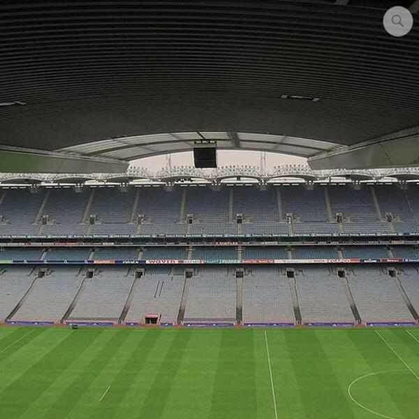 CSI Premium Football/Rugby Pitch Grass Seed | Dandys